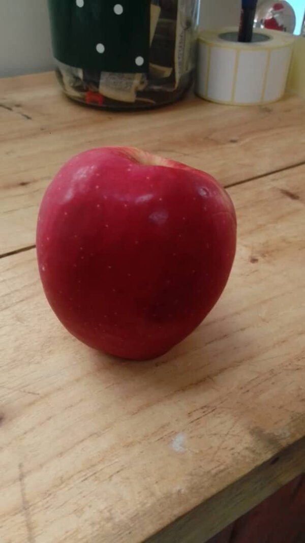 Manzana Fruta