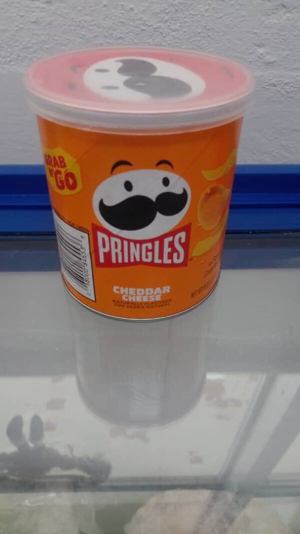 Snacks Pringles Cheddar