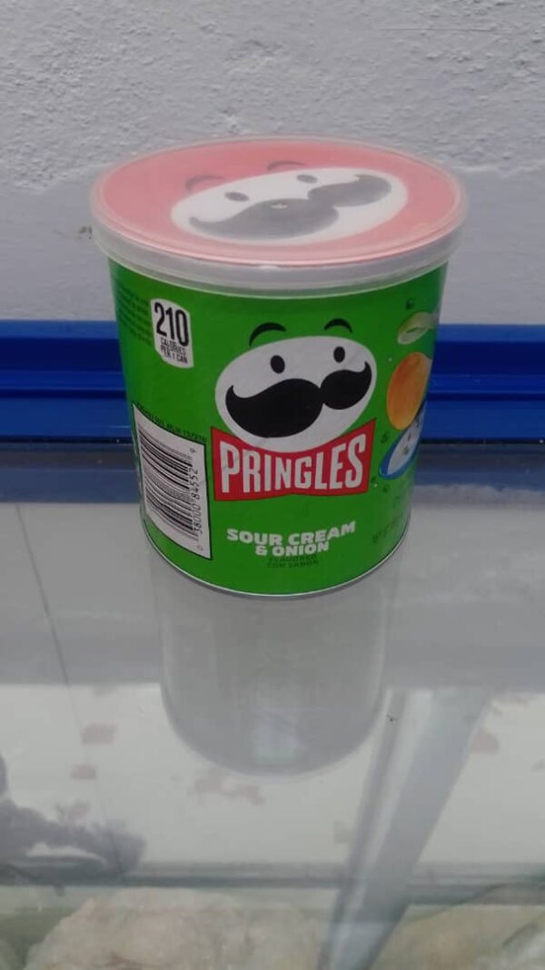 Snacks Pringles Sour Cream And Onion